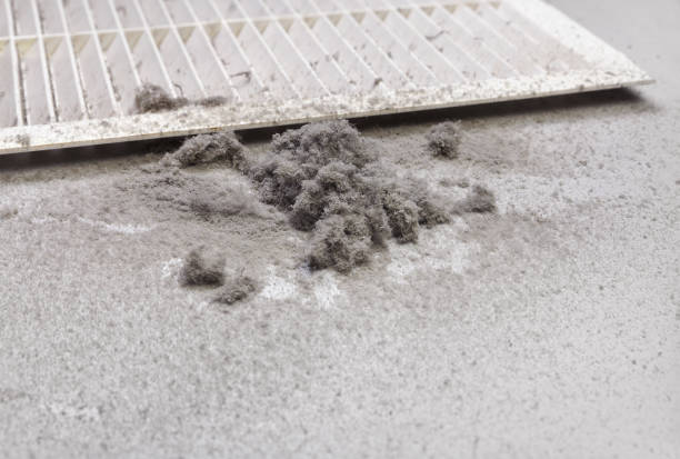Best Best Air Duct Cleaning Company  in Eutaw, AL