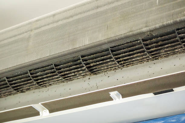 Best Air Duct Cleaning Company Near Me  in Eutaw, AL