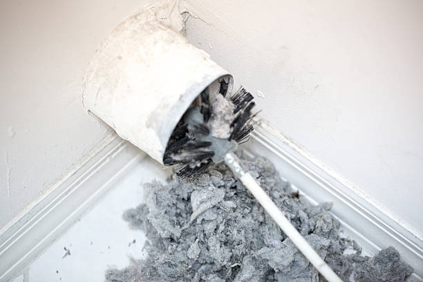 Best Air Vent Cleaning Services  in Eutaw, AL